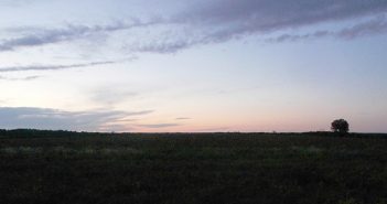 50 fik en herlig natur-tur i Lille Vildmose