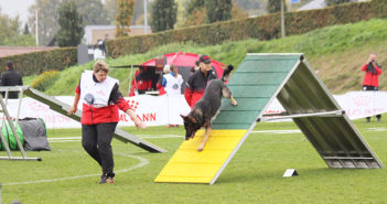 Bente og Trooper fra Støvring DCH blev nr. 3 ved hold-VM i agility for schæfere