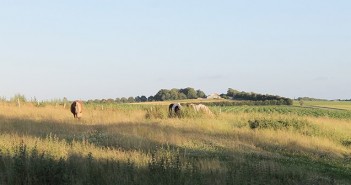 Danske børnefamilier vælger storbyen fra – opsøger nærvær, natur og et anderledes arbejdsliv