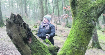 Stille i skoven med mindfulness for alle, – stress, jag og mobiltelefon parkeres for en stund