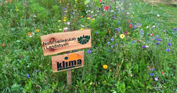 Blomstrende landsbysamarbejde med ”dyrehjælp”i Rebild Kommune